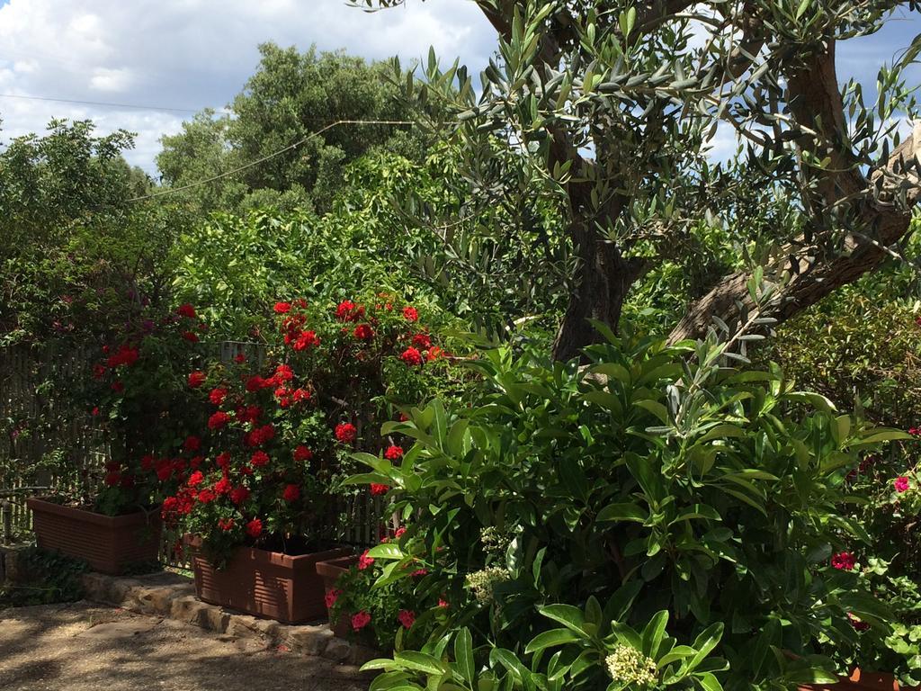 Amoredimare B&B In Villa Polignano a Mare Buitenkant foto