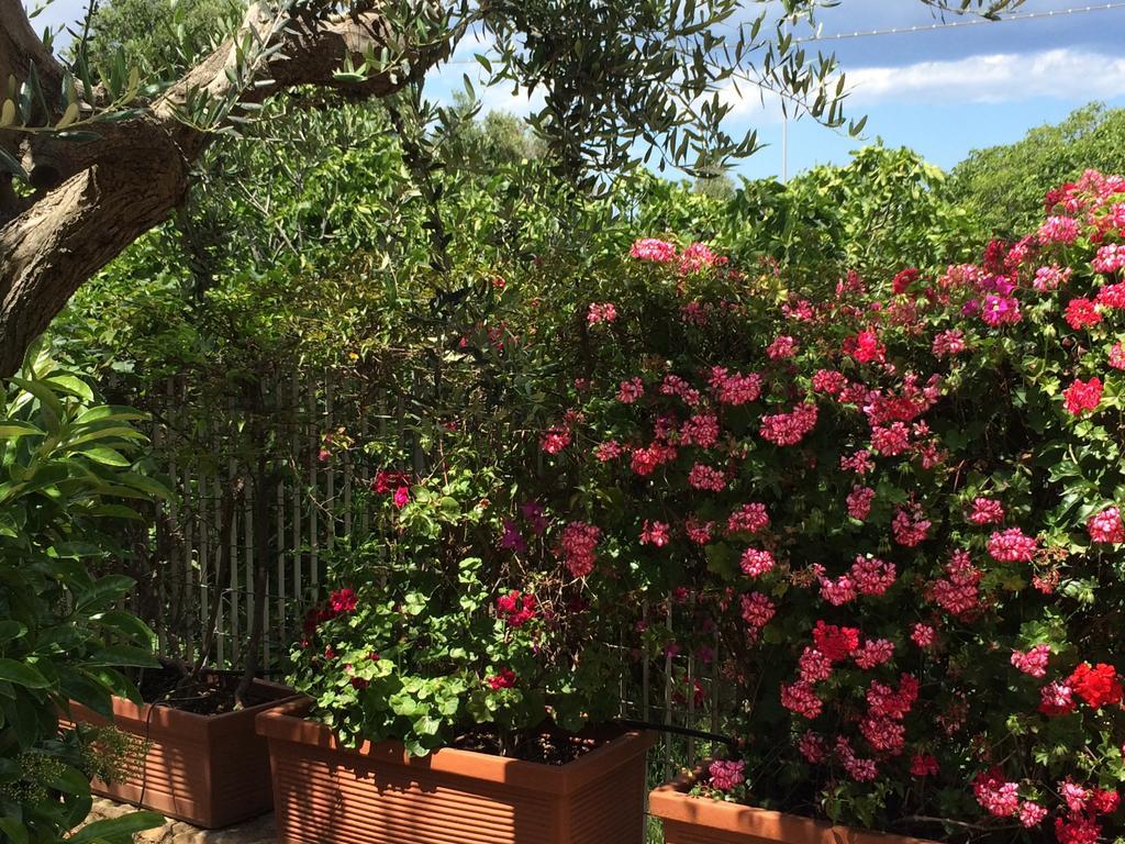 Amoredimare B&B In Villa Polignano a Mare Buitenkant foto