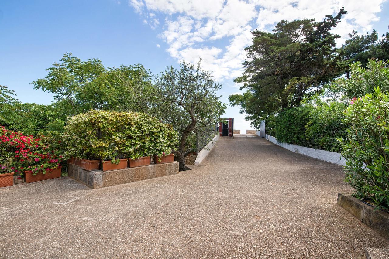 Amoredimare B&B In Villa Polignano a Mare Buitenkant foto