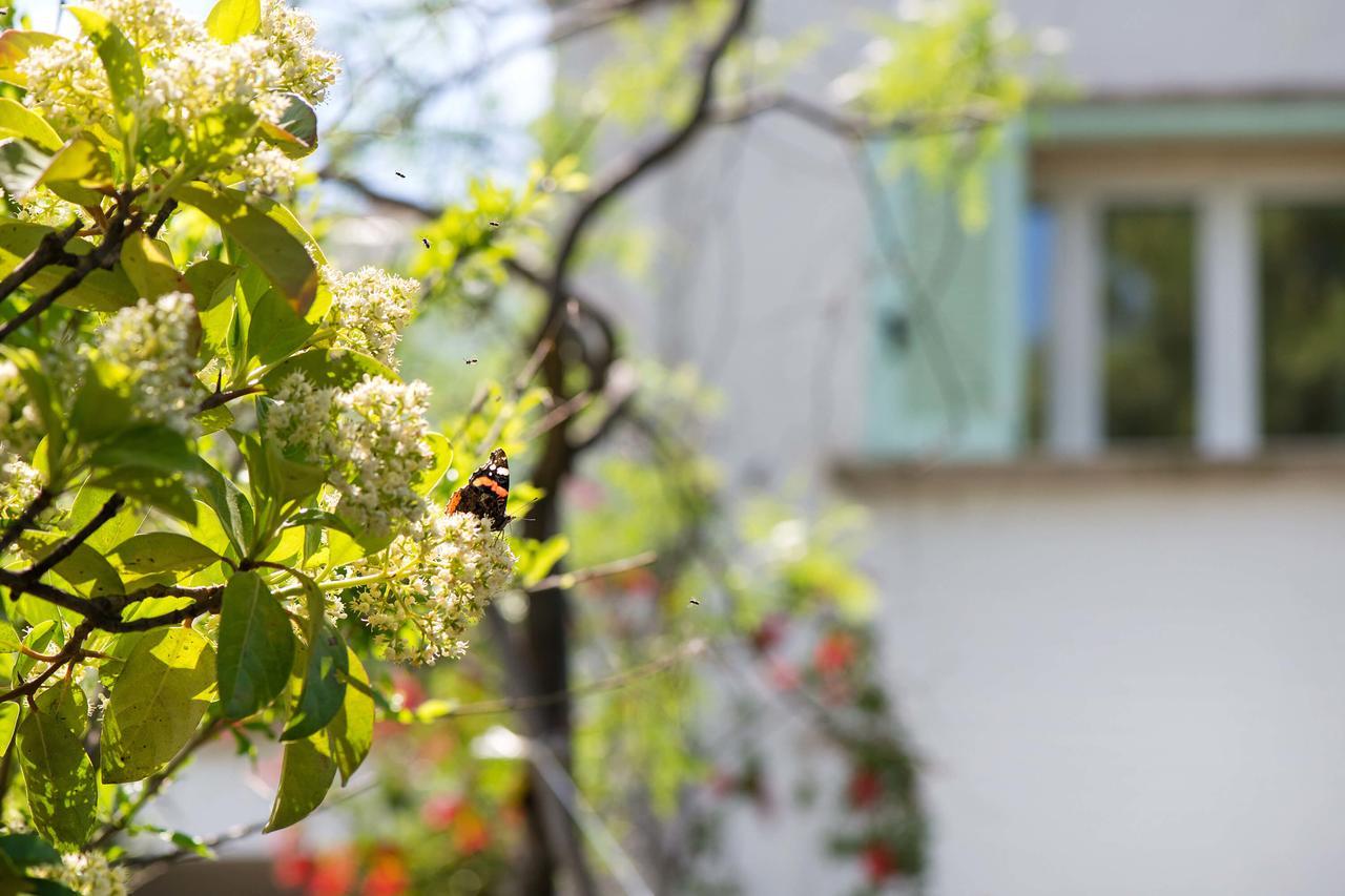 Amoredimare B&B In Villa Polignano a Mare Buitenkant foto
