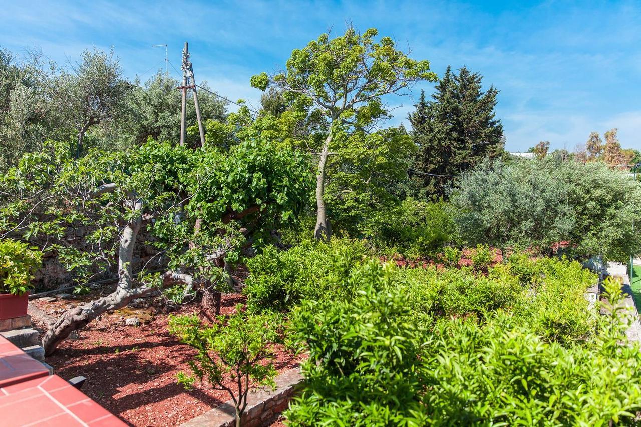 Amoredimare B&B In Villa Polignano a Mare Buitenkant foto